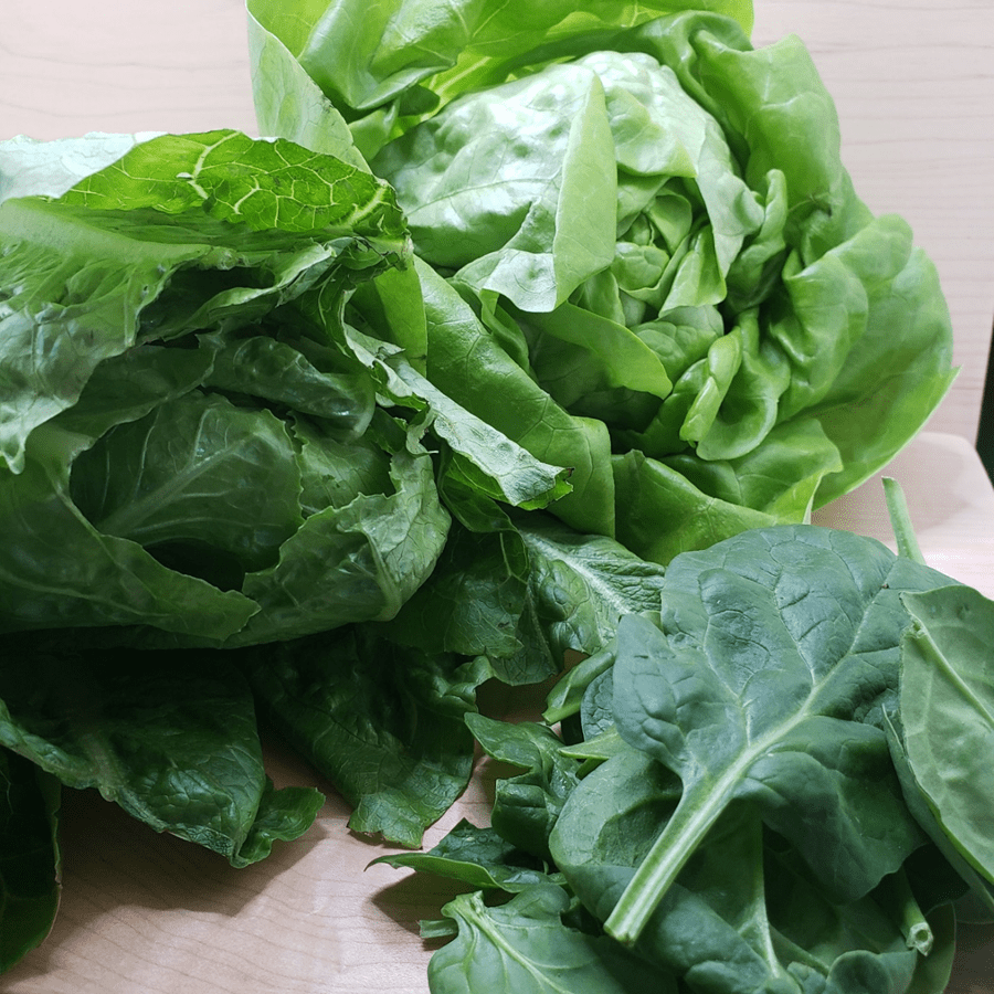 Il est bon de manger une variété de salades vertes car chacune contient différentes vitamines, minéraux et nutriments.
